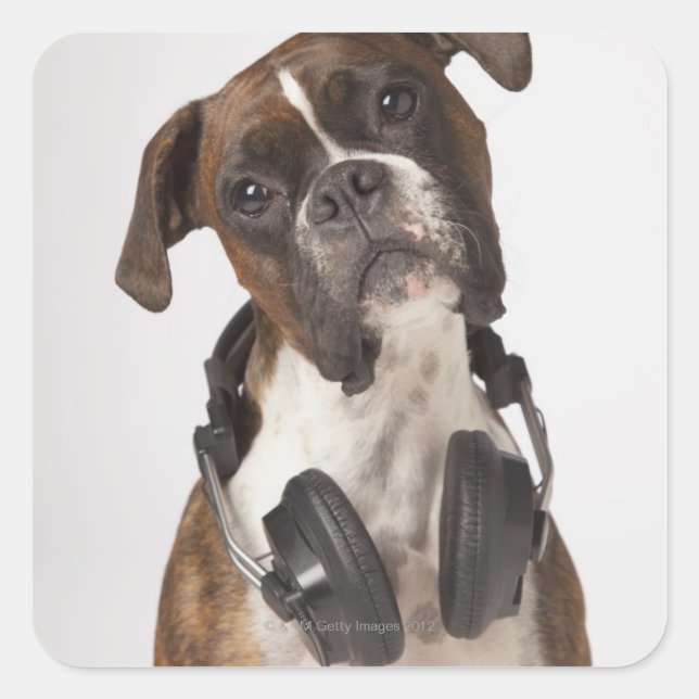 Boxhund mit Kopfhörer Quadratischer Aufkleber (Vorderseite)