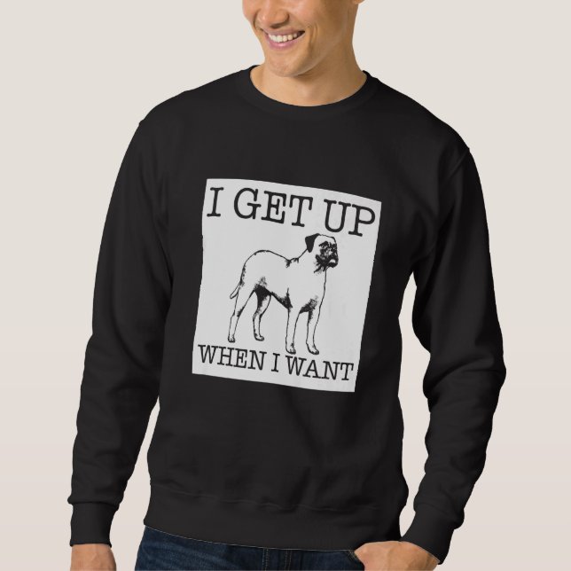 Boxhund Sweatshirt (Vorderseite)