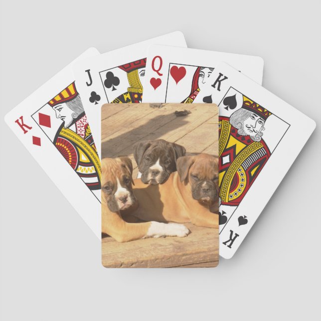 Boxhunde spielen Karten Spielkarten (Rückseite)