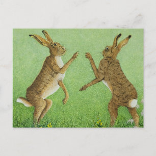 Boxing Clever Postkarte