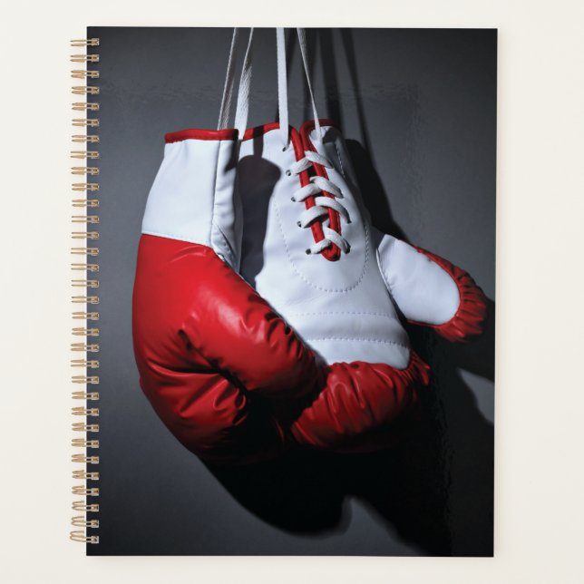 Boxing gloves  planer (Vorderseite)