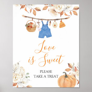 Boy Clothes Pumpkin Fall Kinderdusche Liebe ist sü Poster