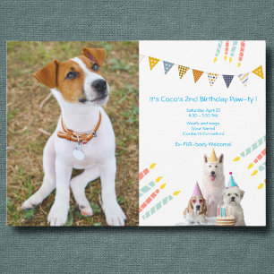 Boy Dog Birthday Party photo Invitation