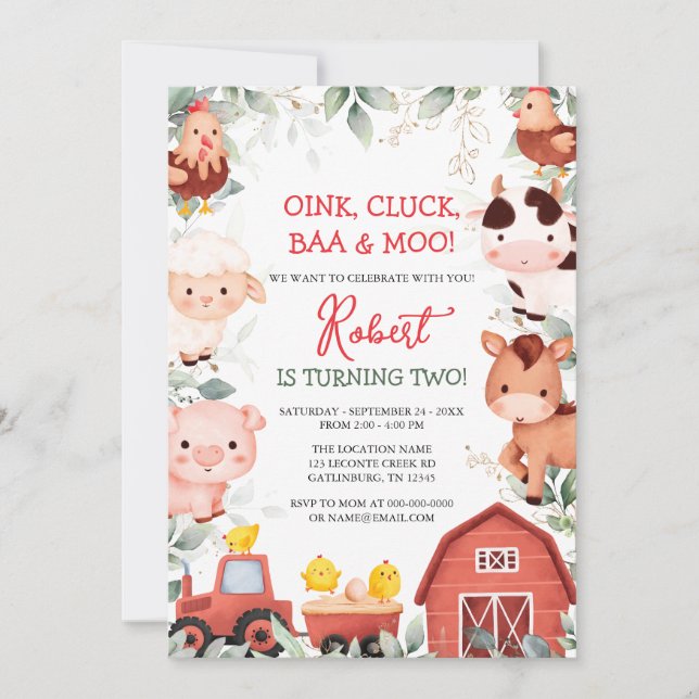 Boy Farm Animals Barnyard Birthday Invitation (Devant)