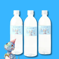 Boy First Birthday Fun One Dinosaur Luncheon