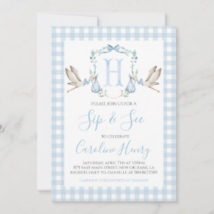 Boy Stork Baby Sip und See Preppy Gingham Blue Einladung