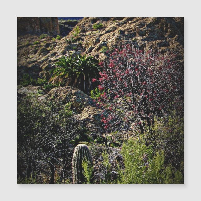 Boyce Thompson Arboretum Magnetkarte (Vorderseite)