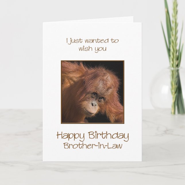Boyfriend Birthday, Orang Utan Karte (Vorderseite)