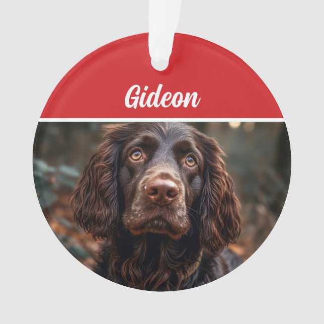 Boykin Spaniel Dog Holiday Foto Weihnachten Ornament (Vorderseite)