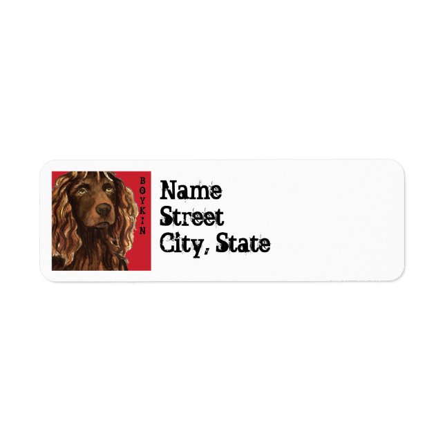 Boykin Spaniel Farbblock (Vorne)