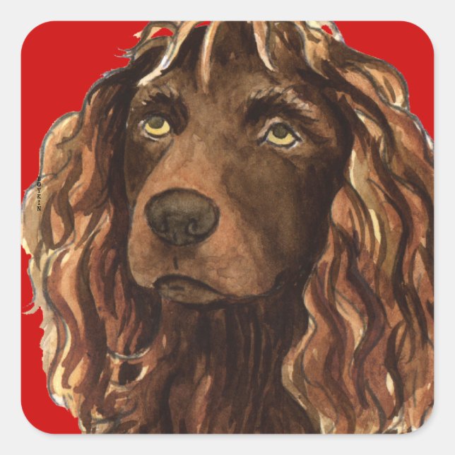 Boykin Spaniel Farbblock Quadratischer Aufkleber (Vorderseite)