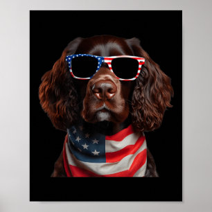 Boykin Spaniel Hund 4. Juli Amerikanische Unabhäng Poster