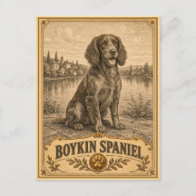 Boykin Spaniel, Vintage Heritage Hund
