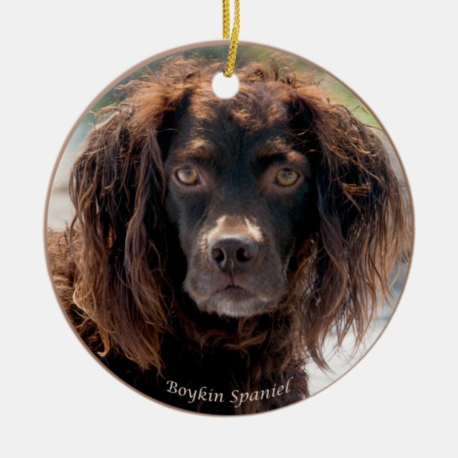Boykin Spaniel-Weihnachtsverzierung Keramikornament (Vorne)