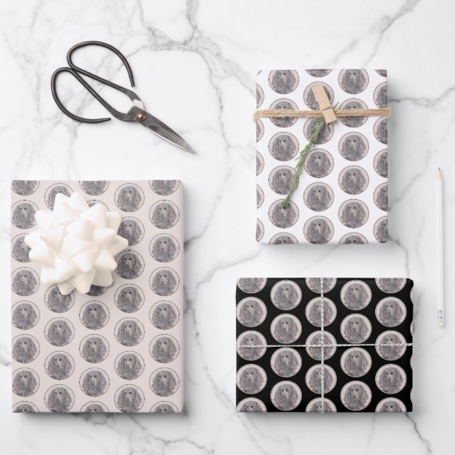 Boykin Spanischmalerei - Niedliche Original Dog Ar Geschenkpapier Set (Vorderseite)