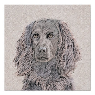 Boykin Spanischmalerei - Niedliche Original Dog Ar Poster