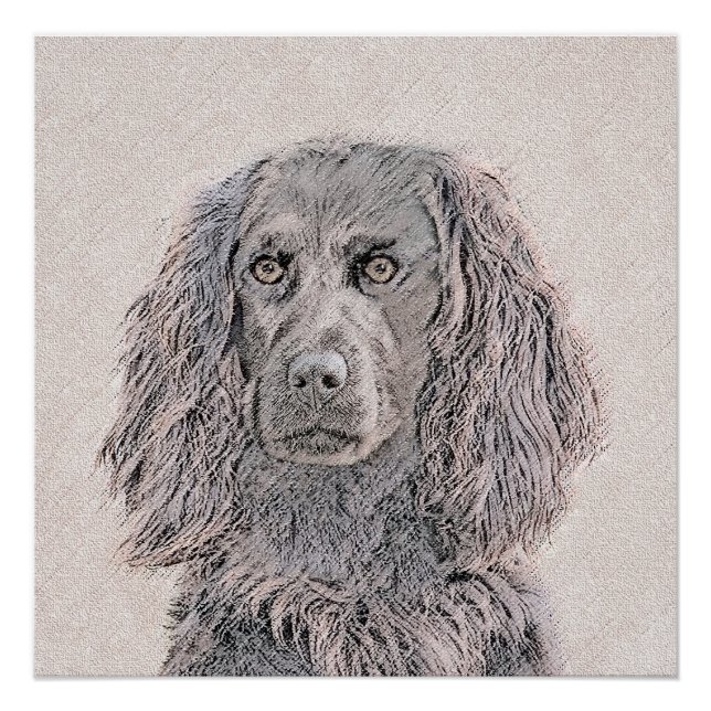 Boykin Spanischmalerei - Niedliche Original Dog Ar Poster (Vorderseite)