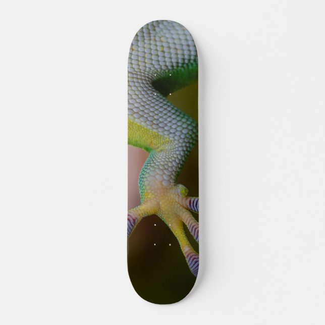 Boy's Gecko Skateboard (Vorne)