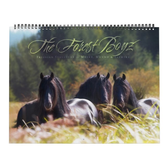 Boyz Forêt - Calendrier Jamais Seul (Protection)