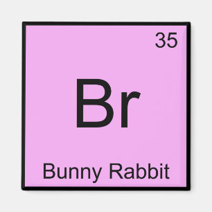 Br - Bunny Rabbit Lustiges Chemie-Element-Symbol T Magnet