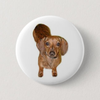 br.dachshund button