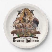 Bracco italiano Sherpa Decke