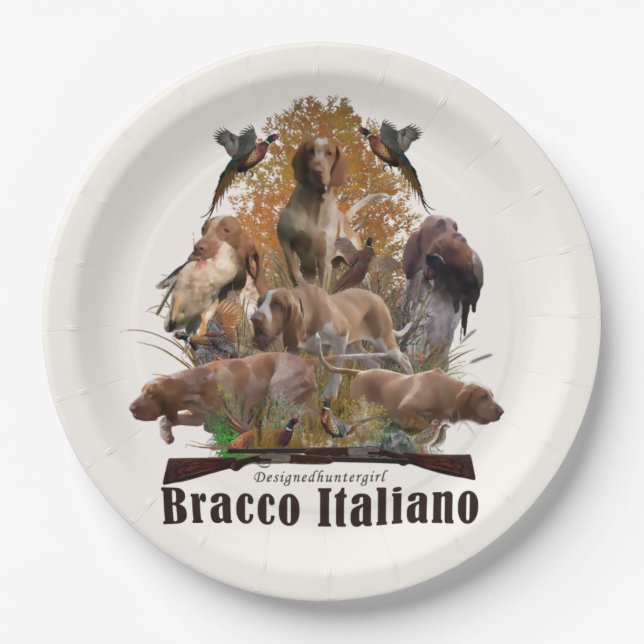 Bracco italiano Sherpa Decke Pappteller (Vorderseite)