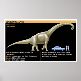 Brachiosaurus - Biologie Jura Poster