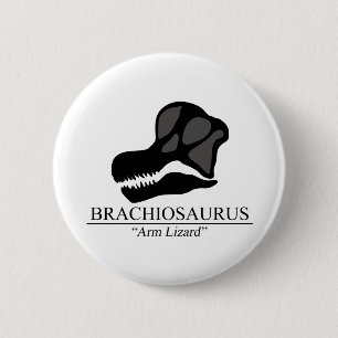 Brachiosaurus Skull Button