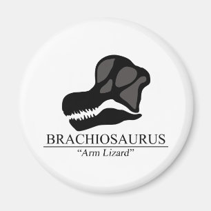 Brachiosaurus Skull Magnet