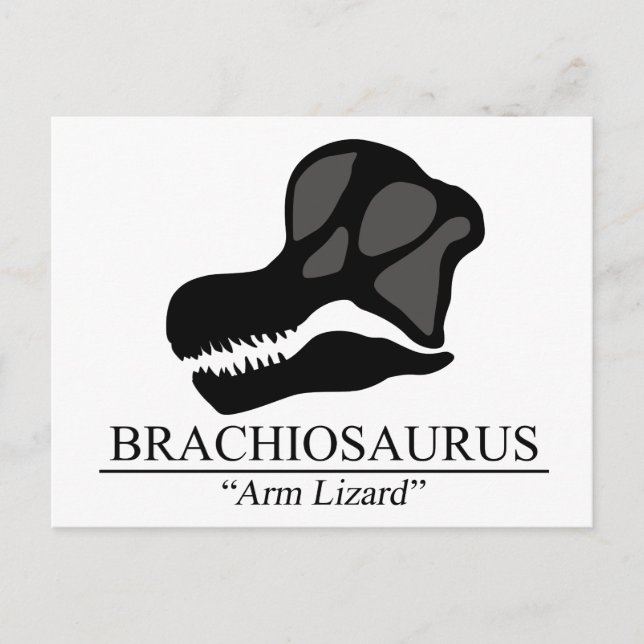 Brachiosaurus Skull Postkarte (Vorderseite)