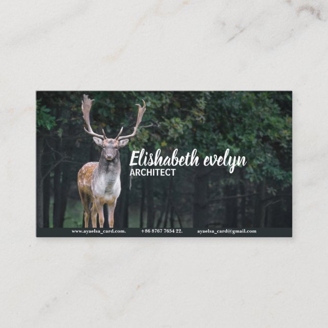 Brachwild Visitenkarte (Vorderseite)