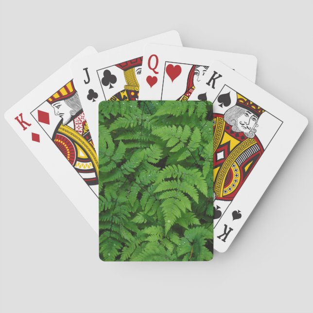 Bracken Farn mit Regentropfen, Washington Staat Spielkarten (Rückseite)