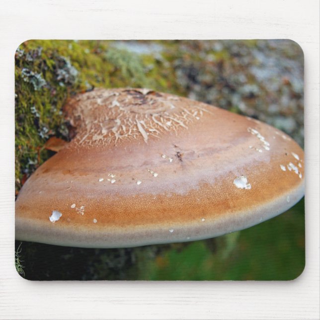 Brackpilz Mousepad (Vorne)