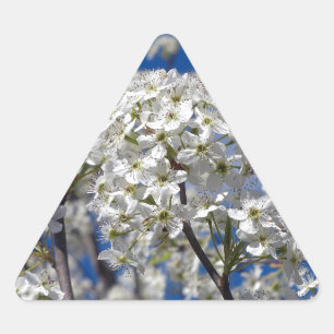 Bradford Pear Blooms Dreieckiger Aufkleber