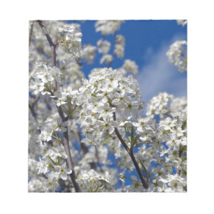 Bradford Pear Blooms Notizblock