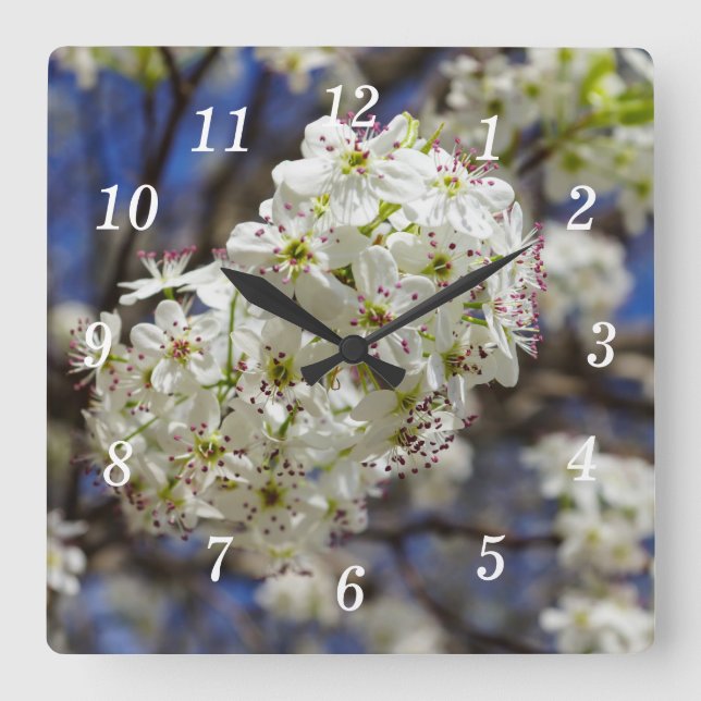 Bradford Pear Blooms Wall Clock Quadratische Wanduhr (Vorderseite)