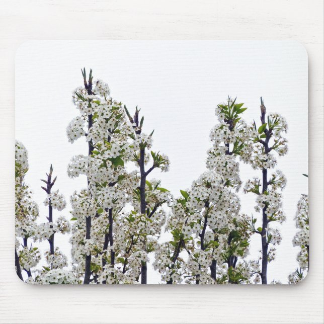 Bradford Pear Blossoms Mousepad (Vorne)