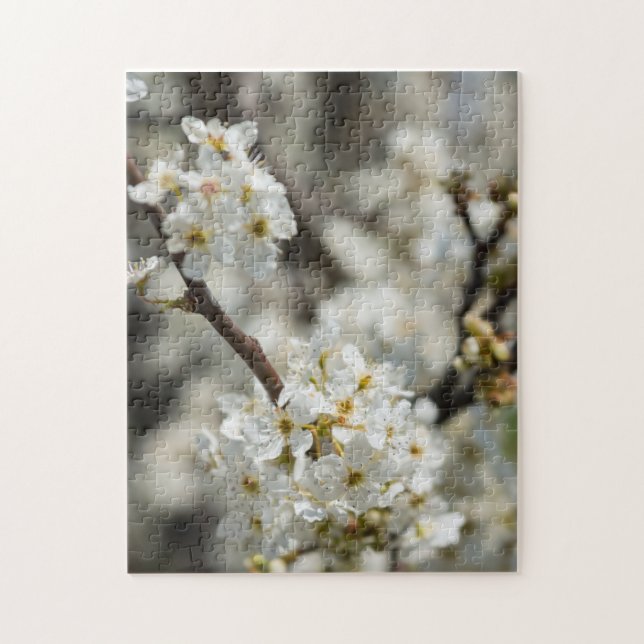 Bradford Select Focus (Vertikal)