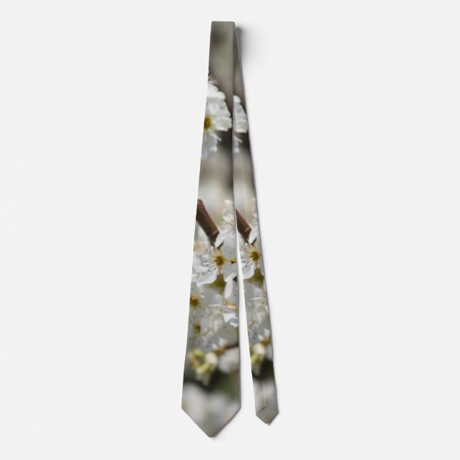 Bradford Select Focus Krawatte (Vorderseite)