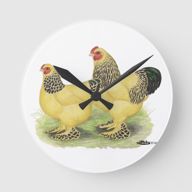 Brahma Buff Pair Runde Wanduhr (Vorderseite)