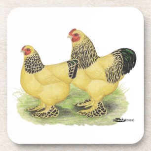 Brahma Buff Pair Untersetzer