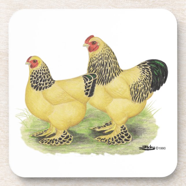 Brahma Buff Pair Untersetzer (Vorderseite)