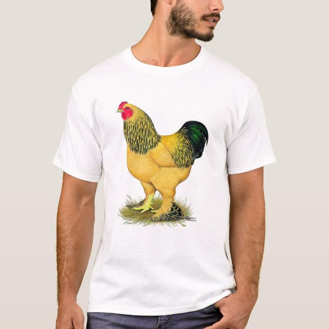 Brahma: Buff Rooster T-Shirt (Vorderseite)