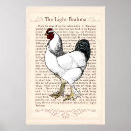 Brahma Chicken Country Küche Vintage Einrichtung Poster