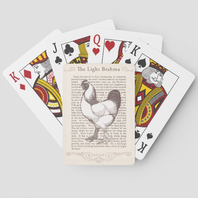 Brahma Chicken Züchter Enthusiasten Vintagen Bauer Spielkarten (Rückseite)