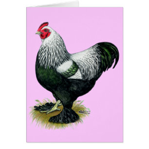 Brahma : Coq foncé
