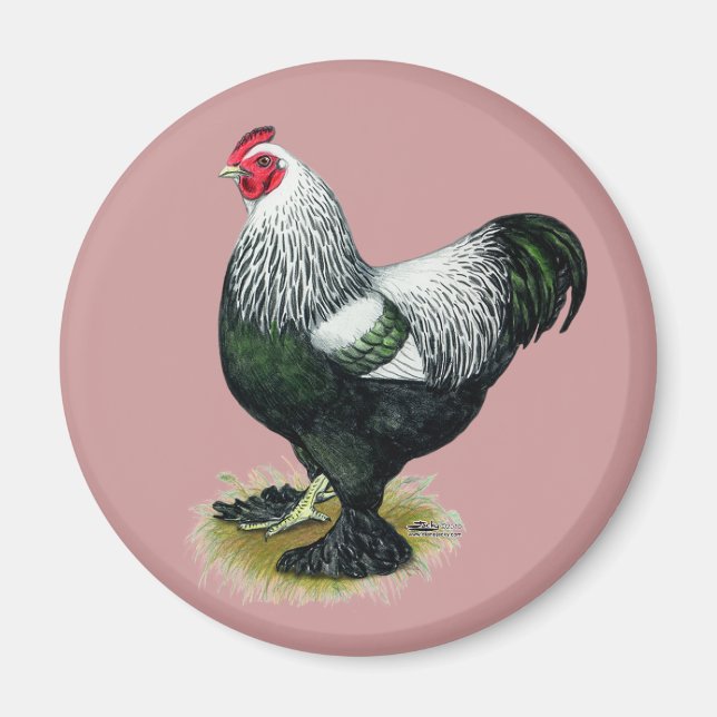 Brahma: Dunkle Liste Magnet (Vorne)