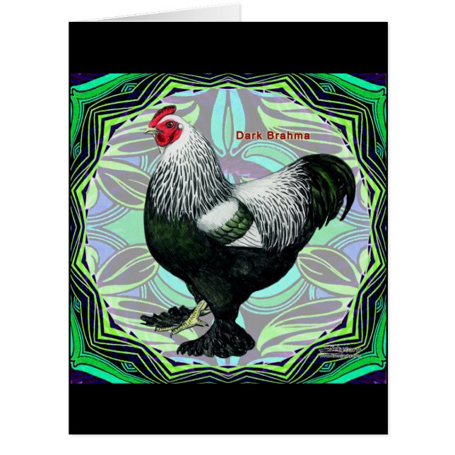 Brahma: Fancy Dark Rooster (Vorderseite)