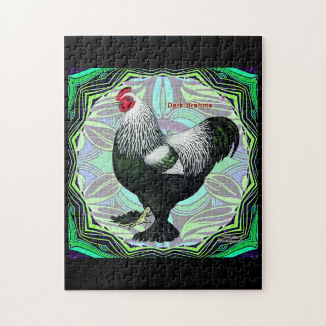 Brahma: Fancy Dark Rooster (Vertikal)